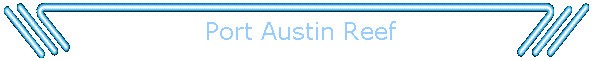 Port Austin Reef
