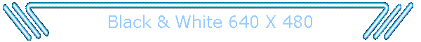 Black & White 640 X 480